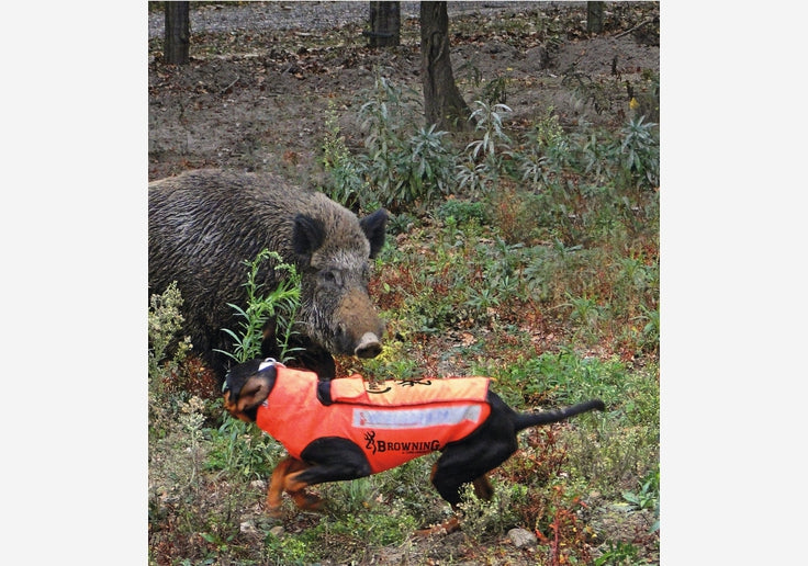 Load image into Gallery viewer, Browning Hundeschutzweste Protect Hunter-SOTA Outdoor
