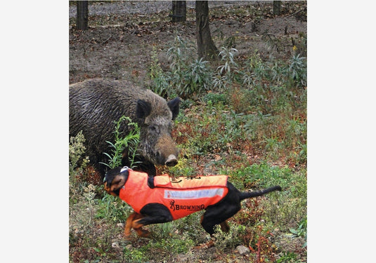 Browning Hundeschutzweste Protect Hunter-SOTA Outdoor