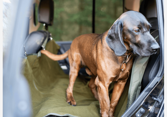 Hundedecke fürs Auto - SOTA Outdoor