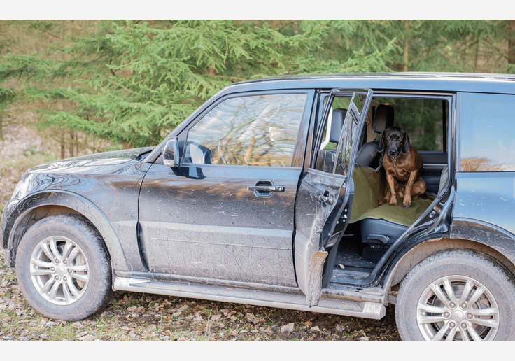 Load image into Gallery viewer, Hundedecke fürs Auto / Autositzschonbezug für Rückbank-SOTA Outdoor
