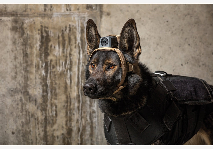 Load image into Gallery viewer, MOHOC K9 Mount Kamerahalterung für Diensthunde-SOTA Outdoor
