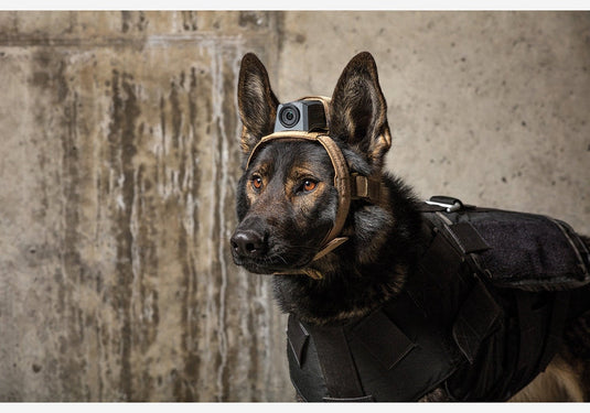 MOHOC K9 Mount Kamerahalterung für Diensthunde-SOTA Outdoor