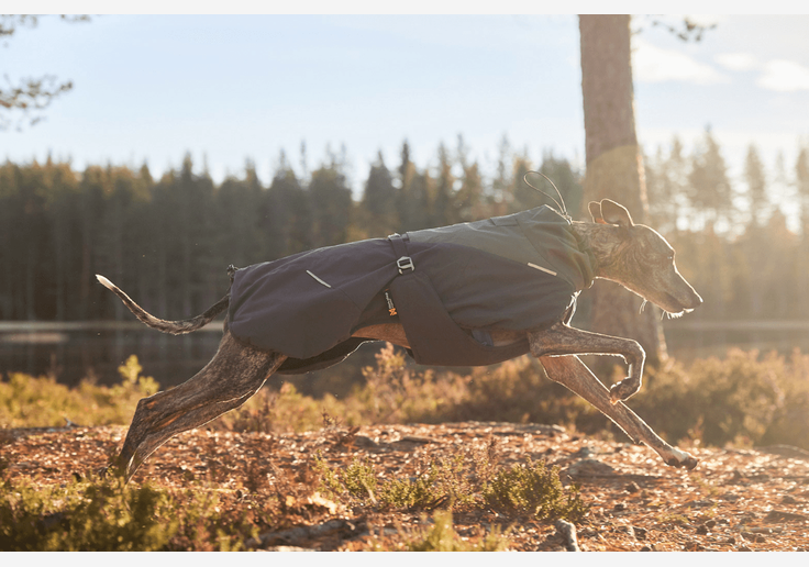 Load image into Gallery viewer, Non-Stop Dogwear Wintermantel Wool Jacket Winterjacke für Hunde-SOTA Outdoor
