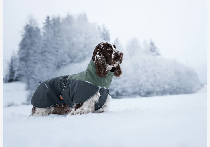 Load image into Gallery viewer, Non-Stop Dogwear Wintermantel Wool Jacket Winterjacke für Hunde-SOTA Outdoor
