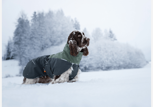 Non-Stop Dogwear Wintermantel Wool Jacket Winterjacke für Hunde-SOTA Outdoor