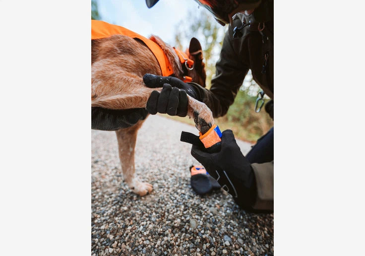Load image into Gallery viewer, Non-Stop Dogwear Protector Bootie Pfotenschutz 4er-Pack
