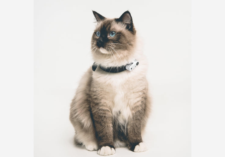 Load image into Gallery viewer, Tickless Mini Cat Katzen-Zeckenschutz mit Ultraschall-SOTA Outdoor
