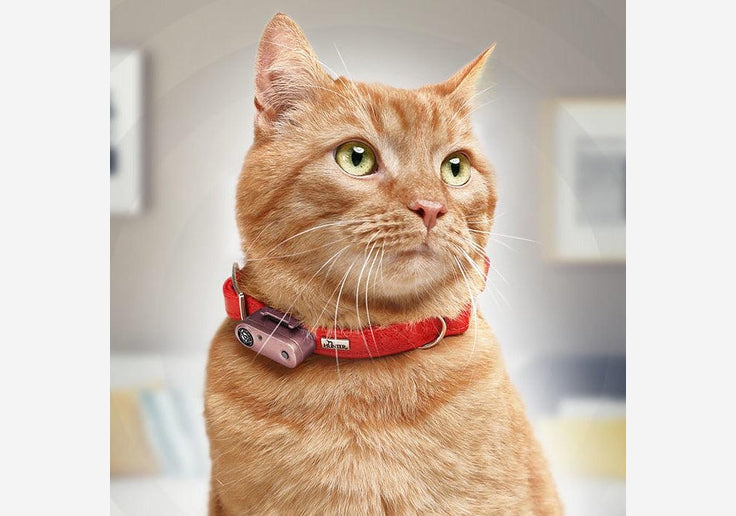 Laden Sie das Bild in Galerie -Viewer, {Tickless Mini Cat Katzen-Zeckenschutz mit Ultraschall-SOTA Outdoor
